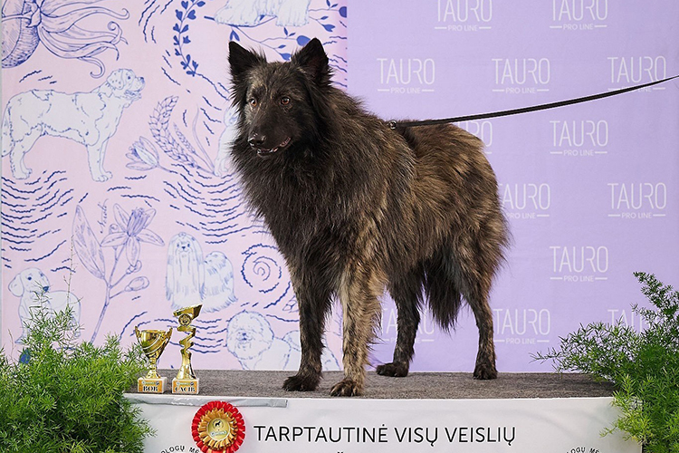 Amidos Vän Pablo Kaido